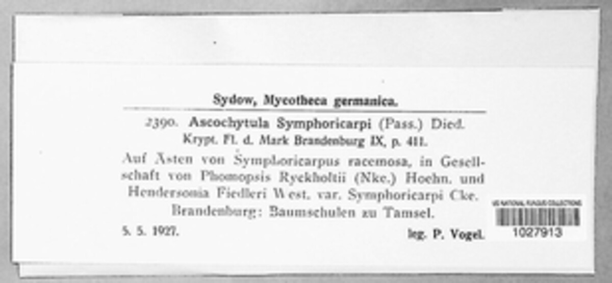 Ascochytula symphoricarpi image
